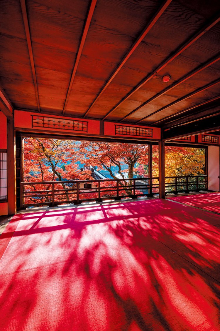 かつて貴賓室として使われた上書院は、毎月17日と新緑、アジサイ、紅葉の時期にのみ公開される。