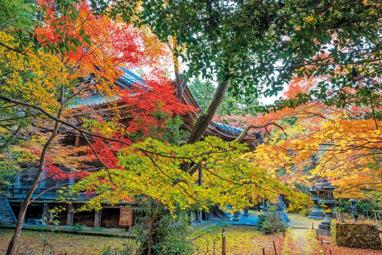 山中にぽつんと立つ、そののどかさもいい。