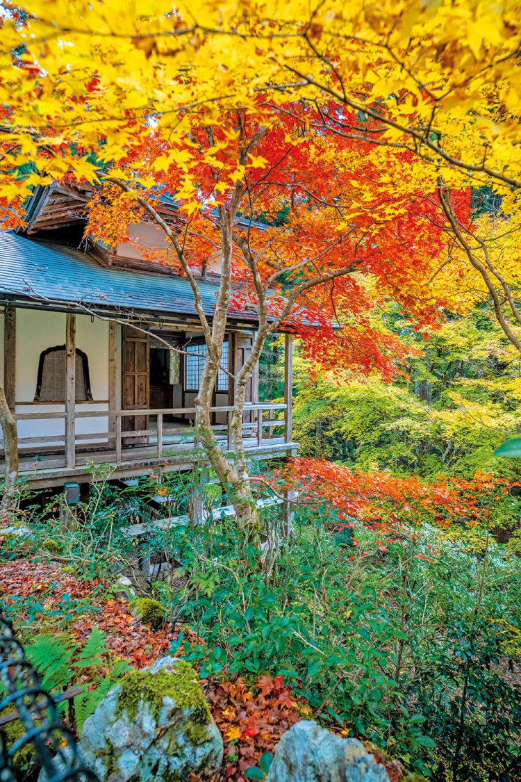 境内奥の舎利殿付近。山門から勅使門に続く参道や禅定池、碧潭池のほとりも見逃せない。