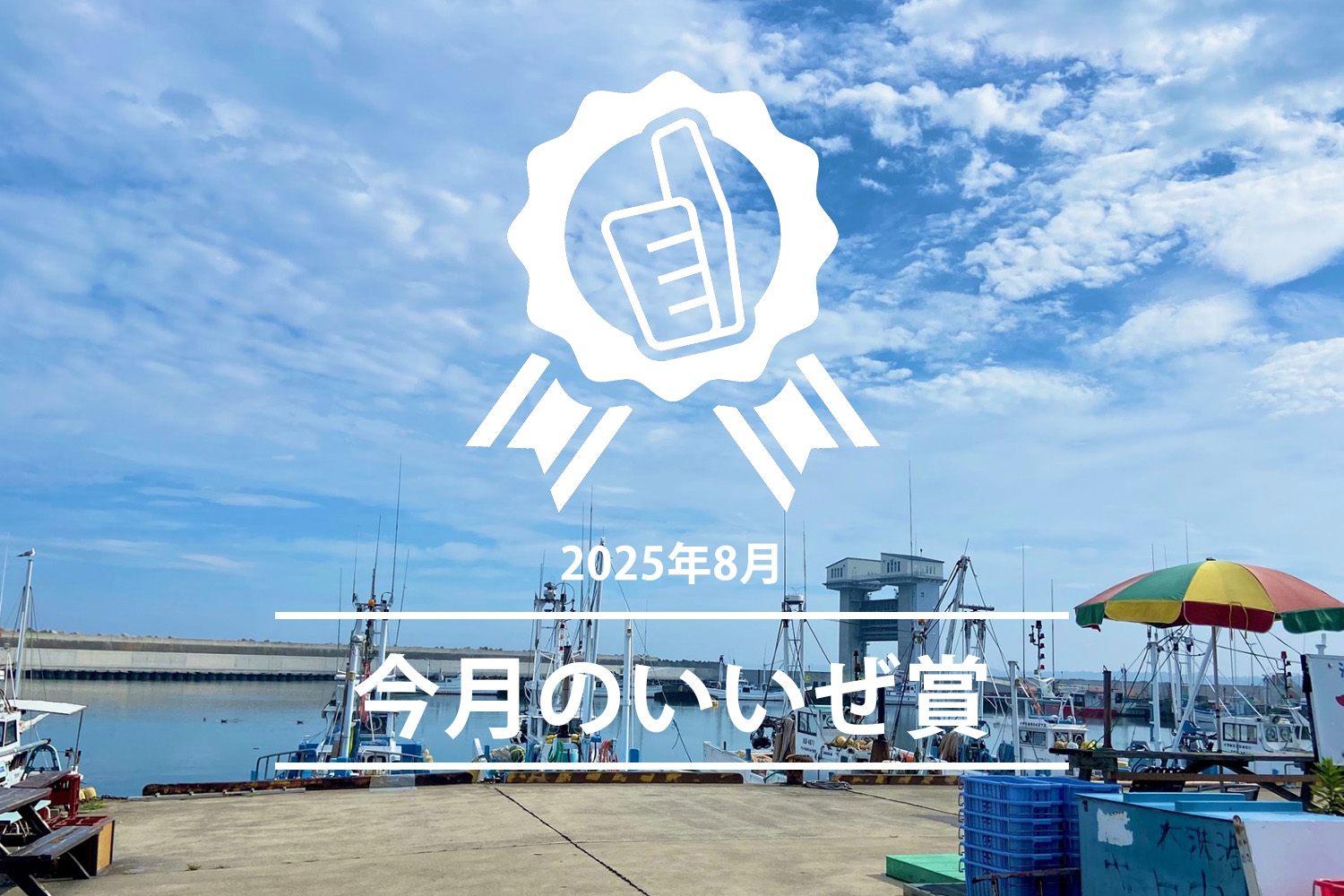 今月のいいぜ賞8