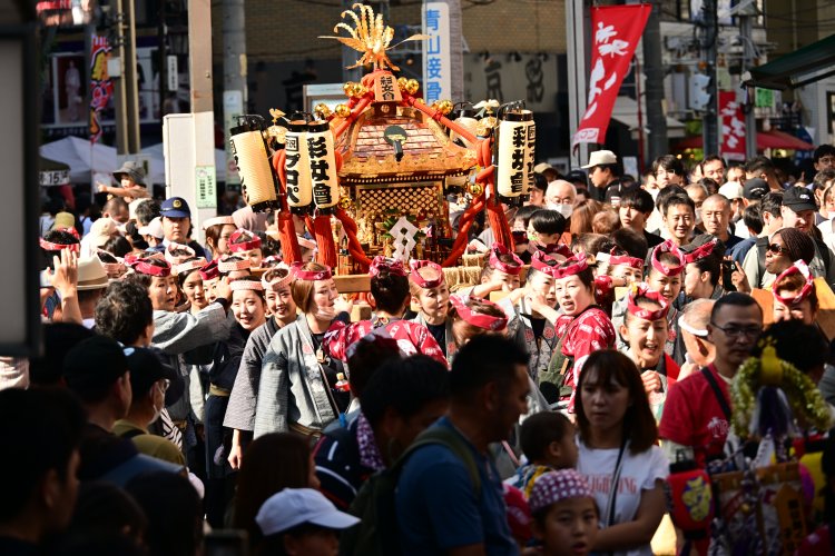 山車だけでなく、神輿の渡御も迫力満点！