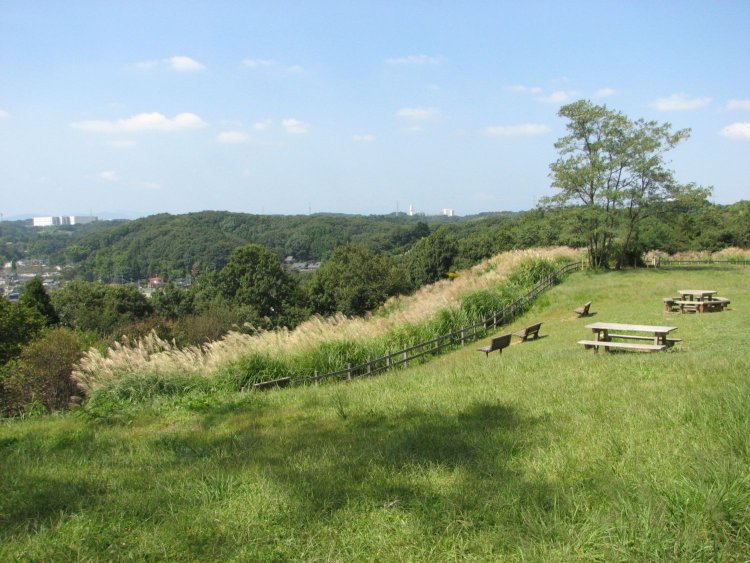 町田市の小山田緑地では、みはらし広場（写真）のほか、トンボ池などさまざまな場所で美しいススキの風景が楽しめる（写真提供＝東京都公園協会）。
