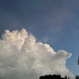 あえて傘をささずに散歩【もう、普通の散歩には飽きている／ワクサカソウヘイ】