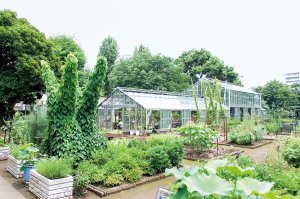 31_02-薬用植物園_差替