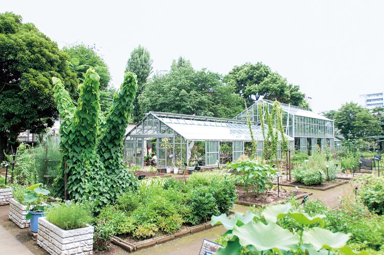 31_02-薬用植物園_差替