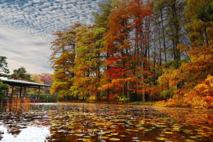 2025_神代植物公園