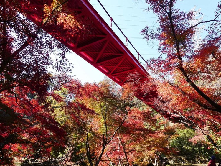 2025_泉自然公園