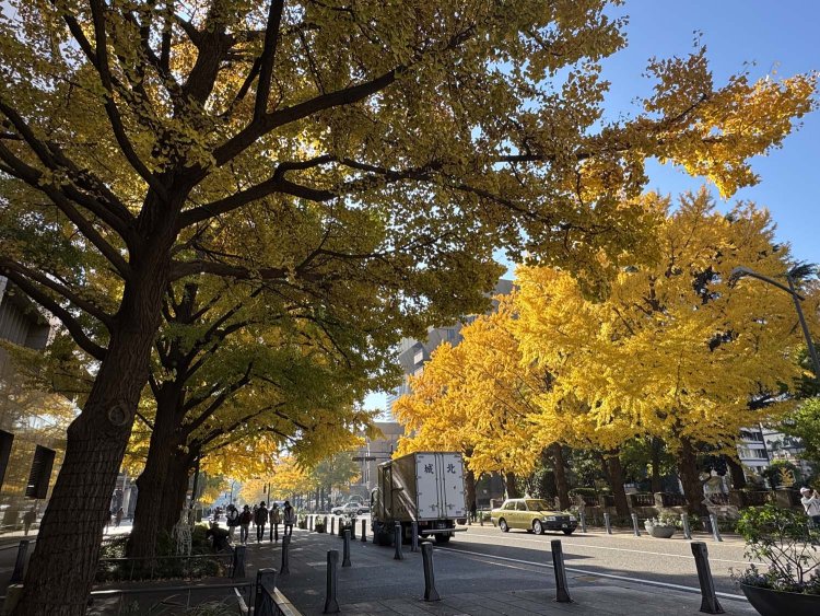 2025_日本大通り