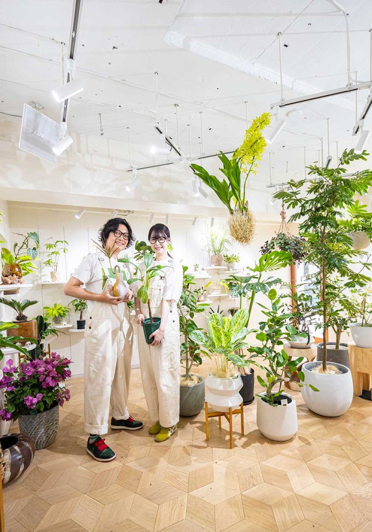 【散歩の達人】翠堂明_1