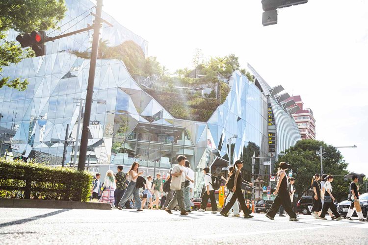 神宮前交差点には2024年に『ハラカド』が誕生。緑が建物を侵食しそうな屋上庭園が印象的。