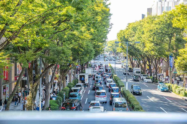 神宮前歩道橋から望む表参道。