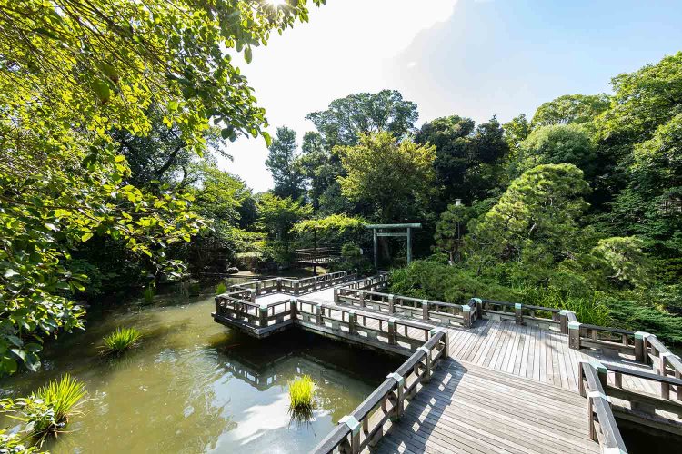 【散歩の達人】原宿・表参道さんぽ_4