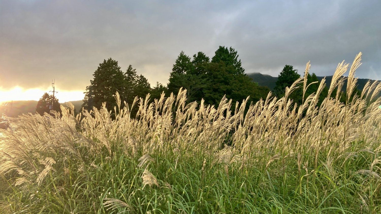 thumbnail_1759653906642