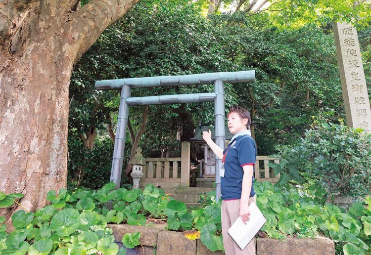 【旅の手帖】北新館_10