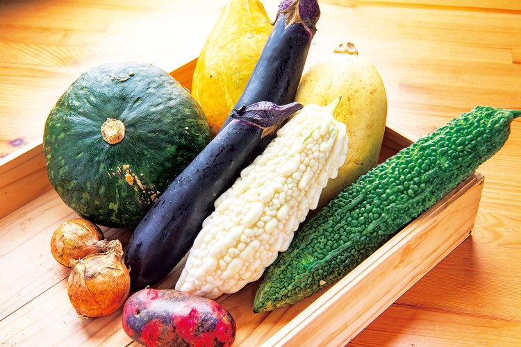 土づくりからこだわり、有機農業で栽培した臼杵のブランド野菜「ほんまもん農産物」。