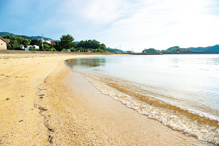 きれいな海が広がる浜公園。