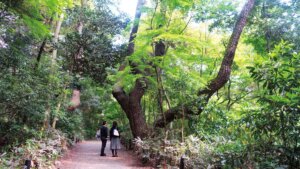 国立科学博物館附属自然教育園