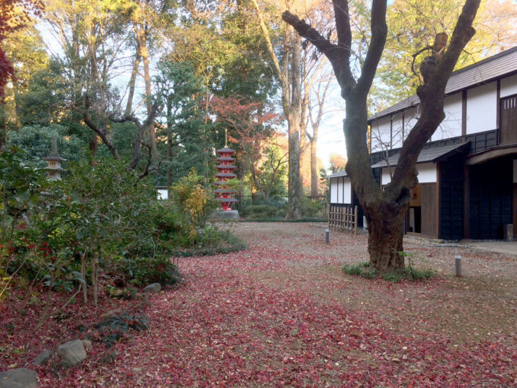 おたかの道湧水園
