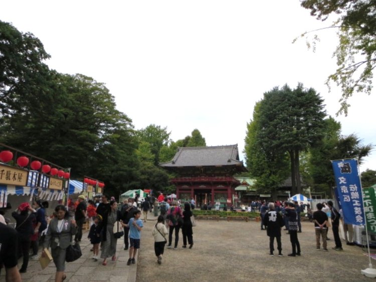 参道には地元町会や団体による飲食や物販の模擬店も並び、お祭り気分を満喫できる。