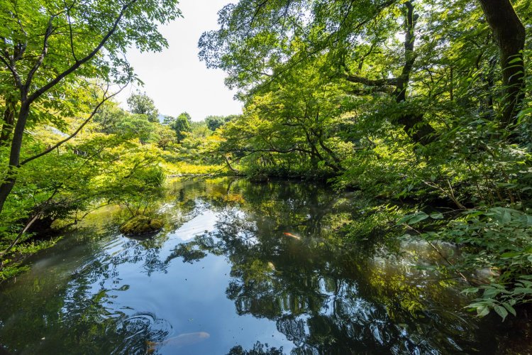 細長い池を擁する1万7000平方メートル以上の庭園。