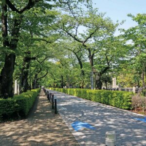 【大江戸散歩コース】青山・渋谷・神宮前～青山家下屋敷をはじめ、地名の由来を知れば町の歴史がわかる～