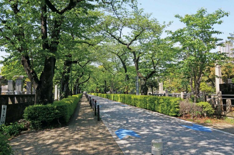 【大江戸散歩コース】青山・渋谷・神宮前～青山家下屋敷をはじめ、地名の由来を知れば町の歴史がわかる～