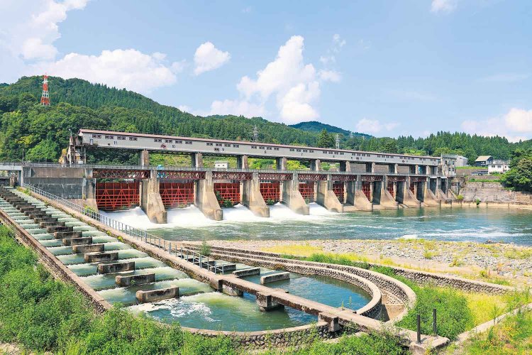 周辺の流域にはウグイなど20種以上の魚が生息。多様な魚が移動できるよう、流速や水深の違う3つの魚道を設置。