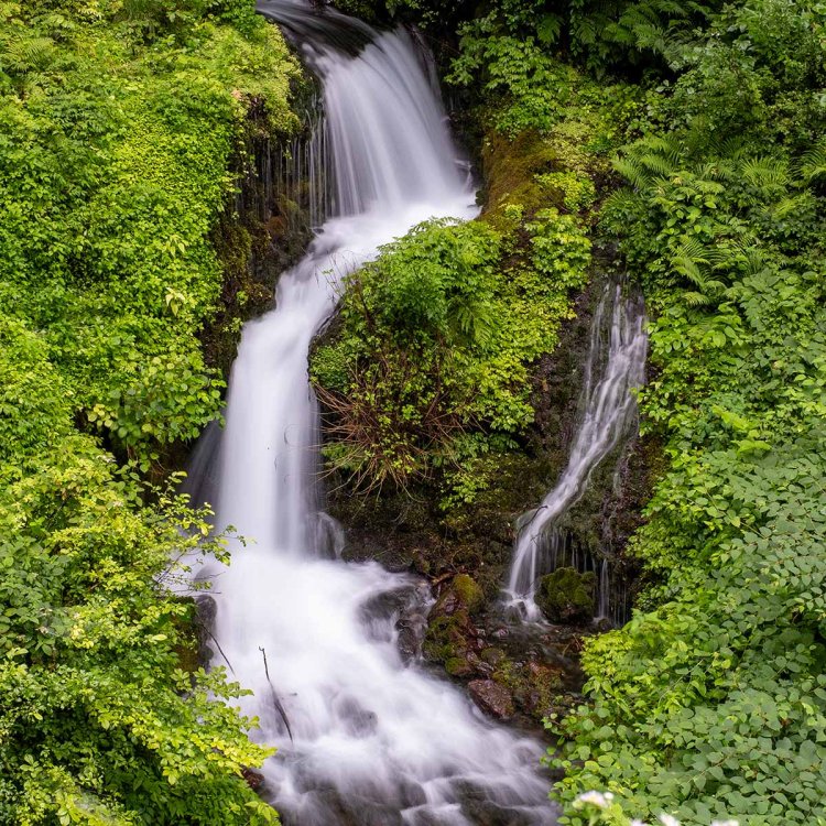 湧出するや滝のように流れ下る様子も圧巻だ。