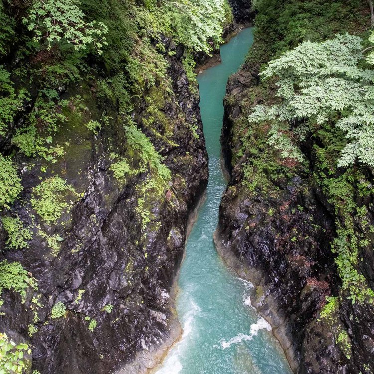 渓谷にかかる紅葉台橋から見た八丁暗がり。