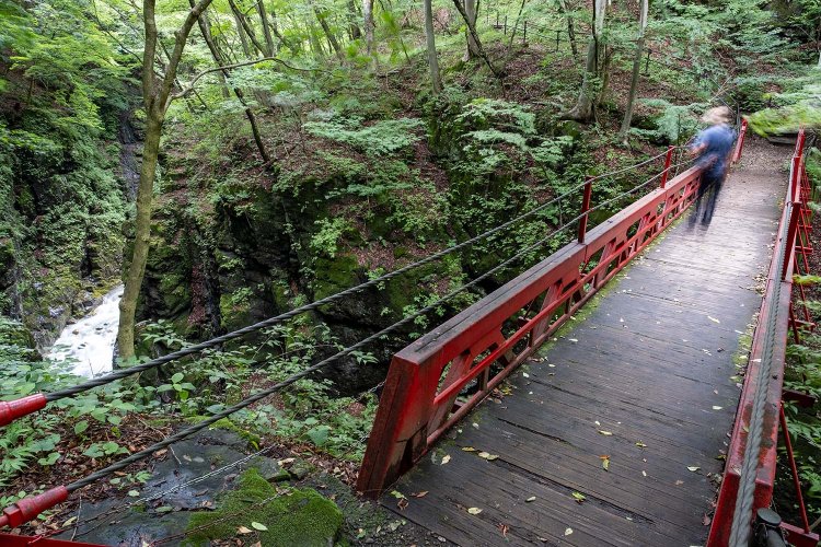 朱色の欄干が目を引く鹿飛橋（しかとびばし）も外せない。