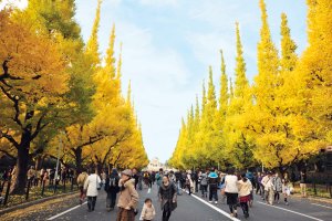 11原青外_イメージ (2)