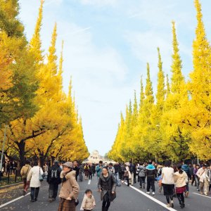 【東京散歩コース】原宿・青山・神宮外苑〜深い杜に包まれた神宮と、若者のファッションタウン〜