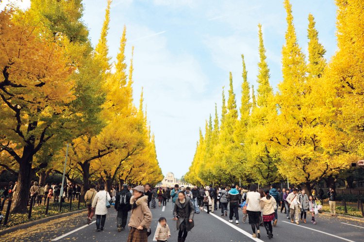 11原青外_イメージ (2)