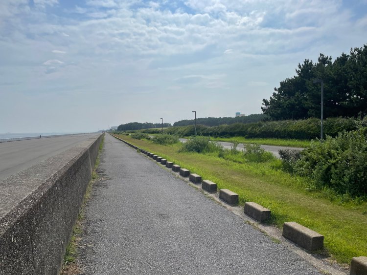 浦安市総合公園の海岸沿い緑道。