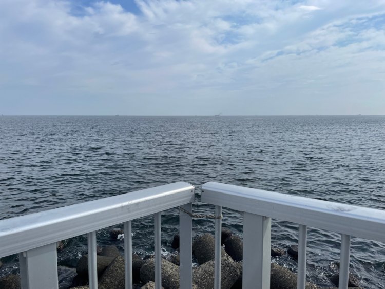 視界が海すぎて怖くなる。