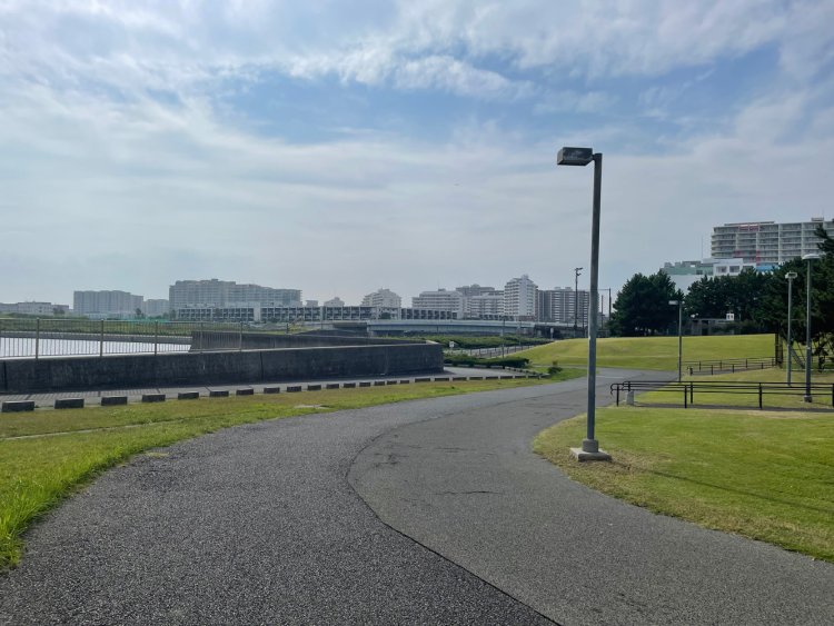 境川の向こうに見える高洲地区の集合住宅。