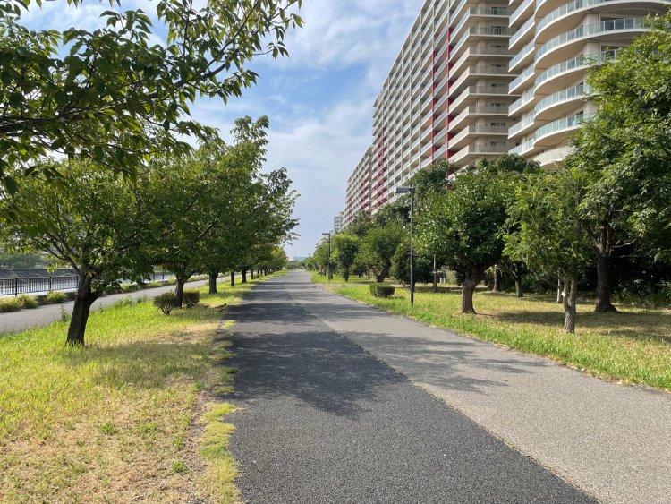 海を背にして境川沿いを歩く。