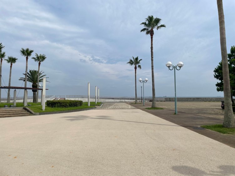 いよいよ海岸。