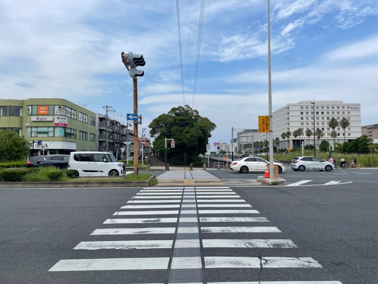 中央が第二堤防緑道。左が中町、右が新町地域。左と右で埋め立てられた時期が異なる。
