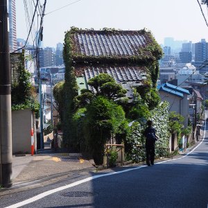 【東京街角クイズ】この写真、どこの分岐でしょう？〈全6問〉