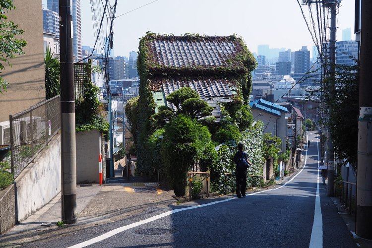 東京街角クイズ　分岐