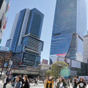 【東京散歩コース】渋谷・松濤〜喧噪と静寂が交じり合う、常に進化中の街〜