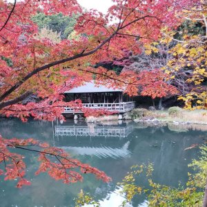 紅葉の見ごろ予想にチャレンジ！お天気別の撮影ポイントも知って、深まる秋を楽しもう