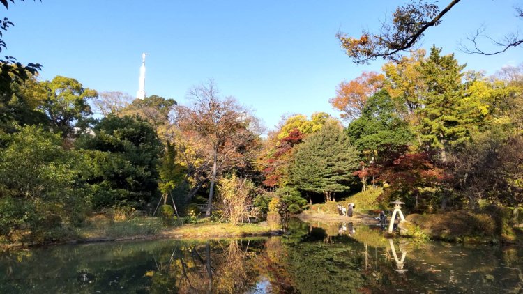 都心部では、近年は師走に入って紅葉の見ごろを迎えることも多い。