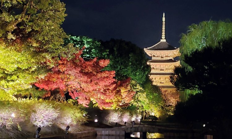 人気の紅葉スポット、京都・東寺のライトアップは一見の価値あり。