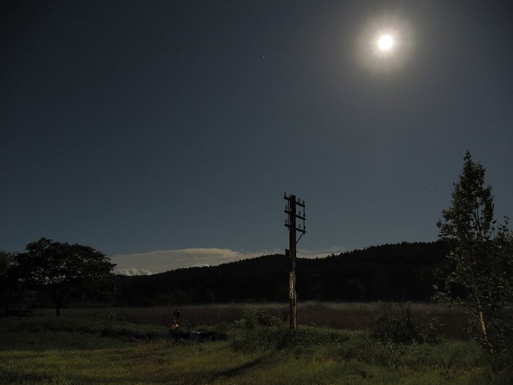 満月の明かりに照らされるハエタタキ。深夜だったが眠さを忘れて「ハエタタキお月見」をしていた。