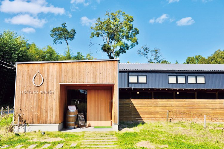 ワイナリー見学施設。