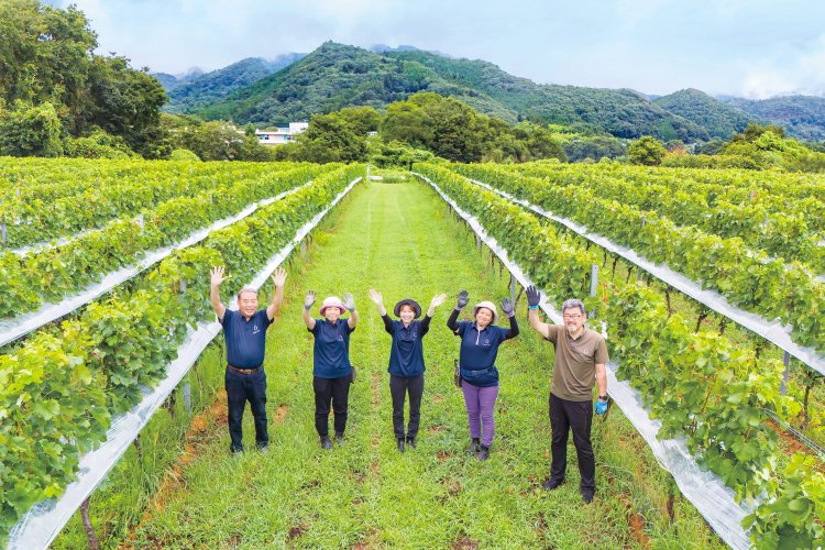 城峯山を望む広大な2ヘクタールのぶどう畑から、年間約5万本のワインが生産される。野生のウサギが多く生息し「兎田」と呼ばれていたことから『兎田ワイナリー』と名付けられた。笑顔が素敵なスタッフさんたちに出迎えられて、日常の緊張もほぐれてほっこり気分。