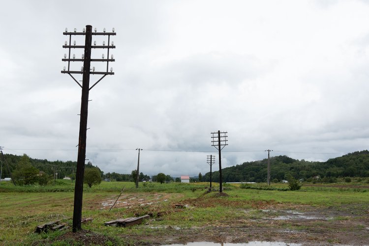 2015年9月に訪れたときはハエタタキが設置された直後だった。