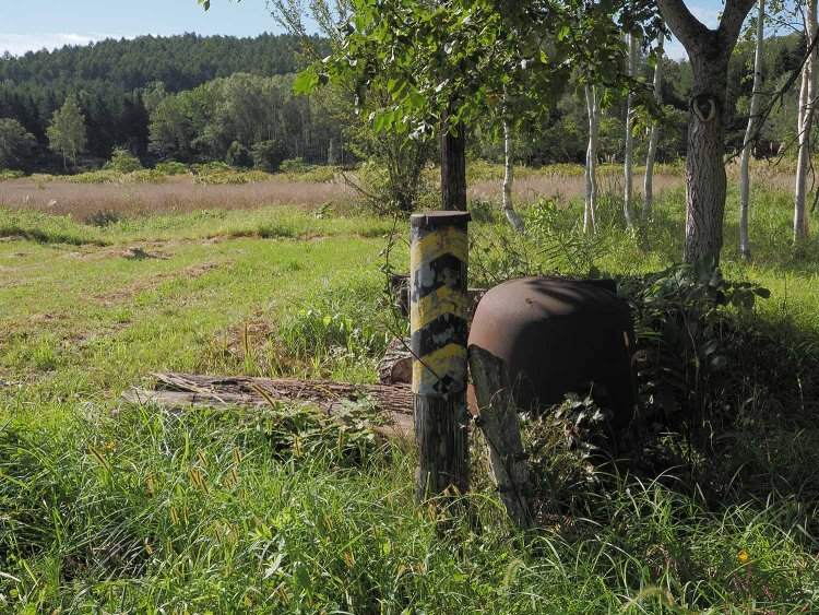 S1003937天塩弥生